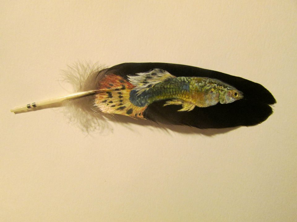 Painted Fish Feather