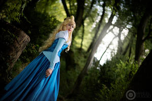Follow a voice. Sleeping Beauty