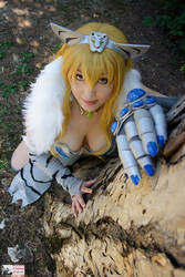 Roar . Elina cosplay, Queen's blade