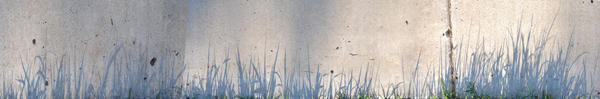 White Grass Code Secret Grass Codes Color by katiejo911 on DeviantArt