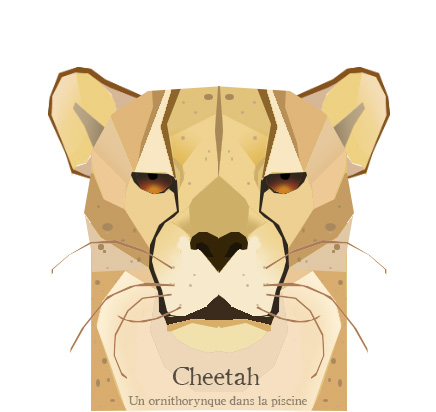 Cheetah