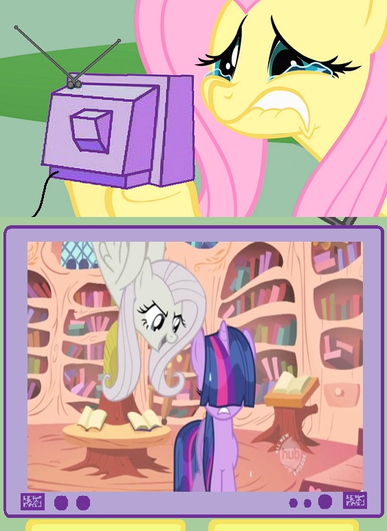 Fluttershy TVMeme Flutterbitch