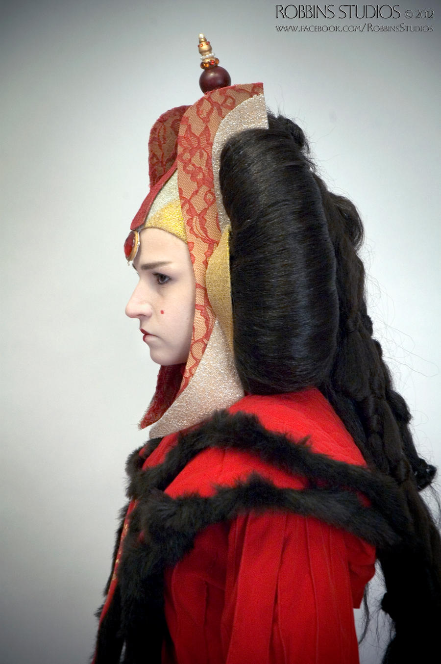 Amidala Throne Room Invasion costume profile