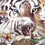 Ballpoint pen Art - Big Cats