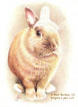 Canel the bunny - Ballpen art by ArtisAllan