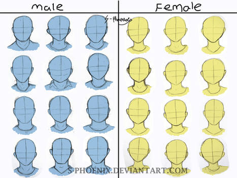 Male and Female face shape reference