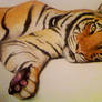 Realistic Tiger Watercolour