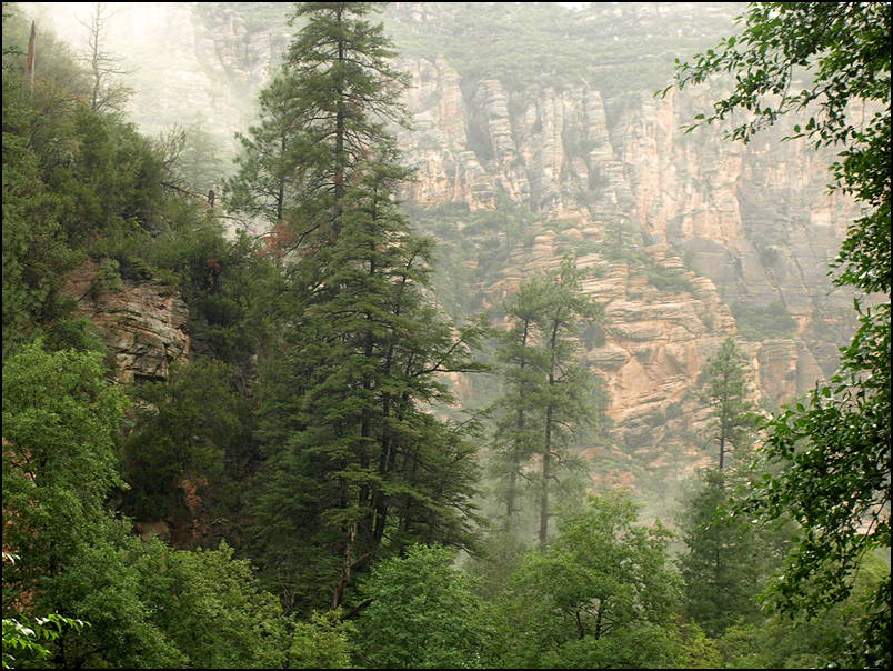 Sedona Canyon