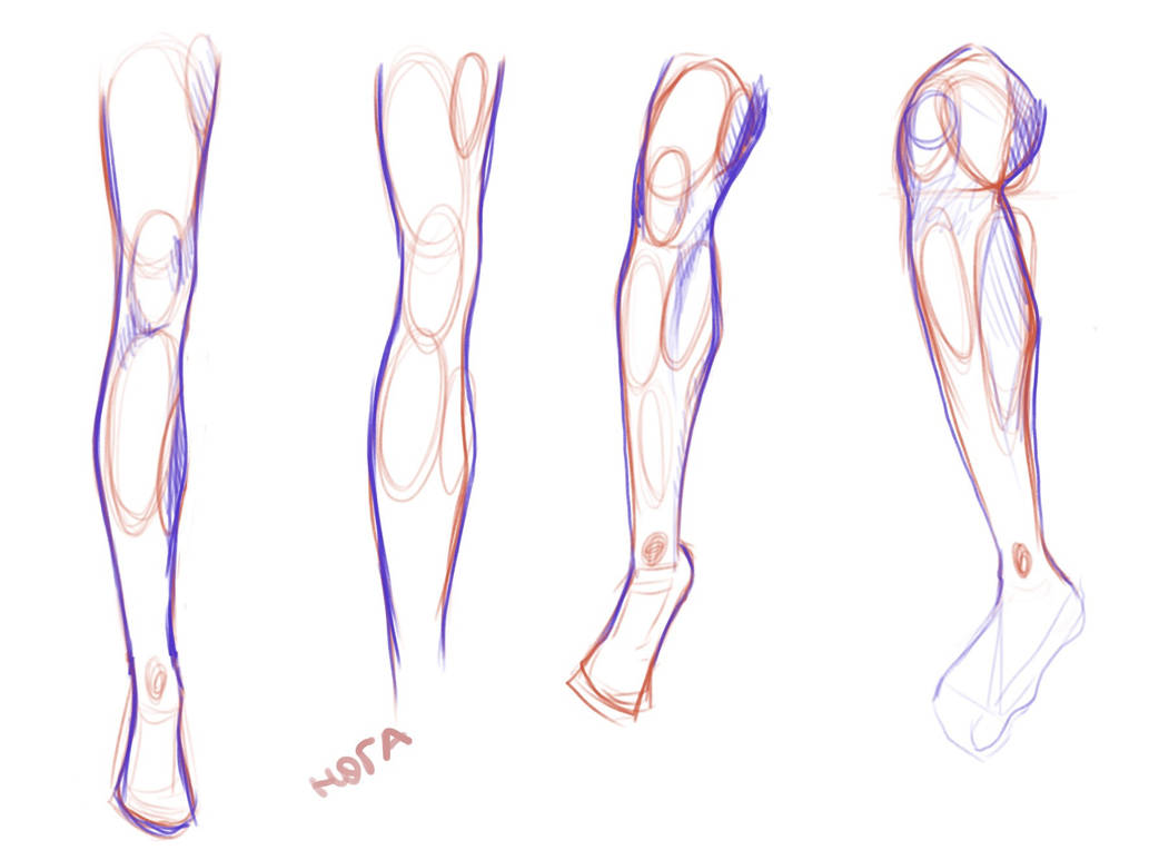 Legs Rendering Coloring learning legs by zhenyaohayo on DeviantArt