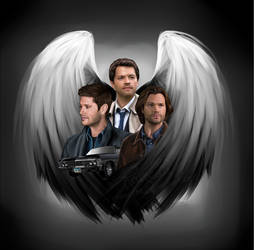 Team Free Will