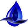 Waterfox logo types