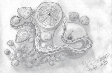 Still Life - Fruit