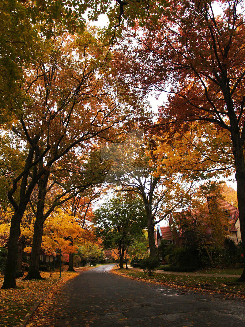 The Gardens, Forest Hills