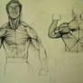 Anatomy Study