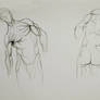 Anatomy Study