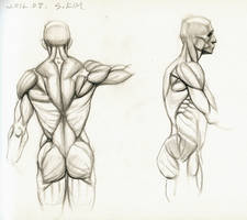 Anatomy Study