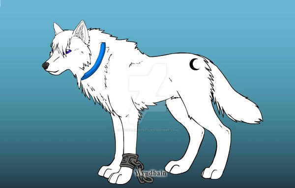 White Wolf by EmeraldFrost7 on DeviantArt