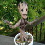 Baby Groot 5