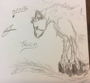 Trico^^