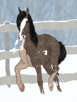 Winter Horse