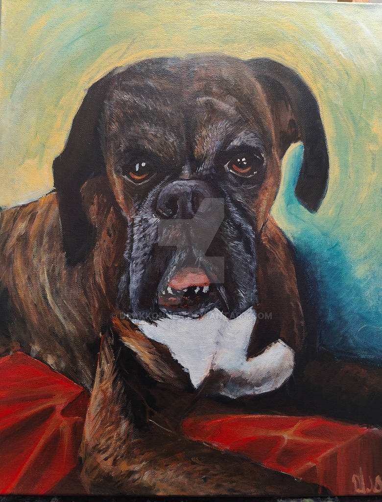 Deviantart Boxer Dog Boxer by Drakkonnen on DeviantArt