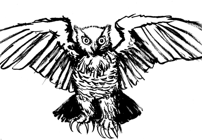 owl concept