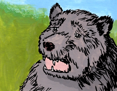 Bovodar and the Bears preview- Sad Urgor