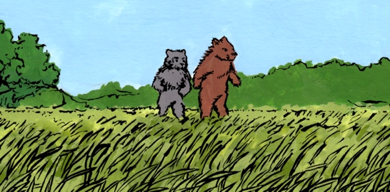 Bears crossing field