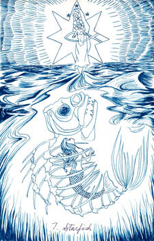 Inktober 7- Starfish