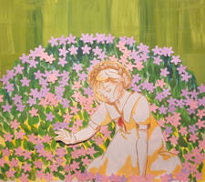 Phlox Field