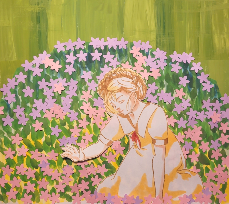 Phlox Field