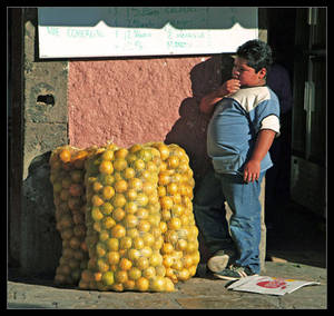 Pondering Lemons