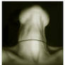 Phallustation