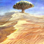Tree of the Desert