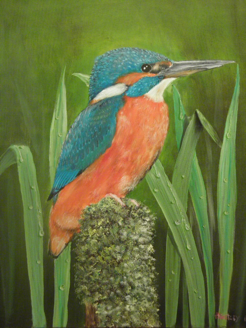 Kingfisher