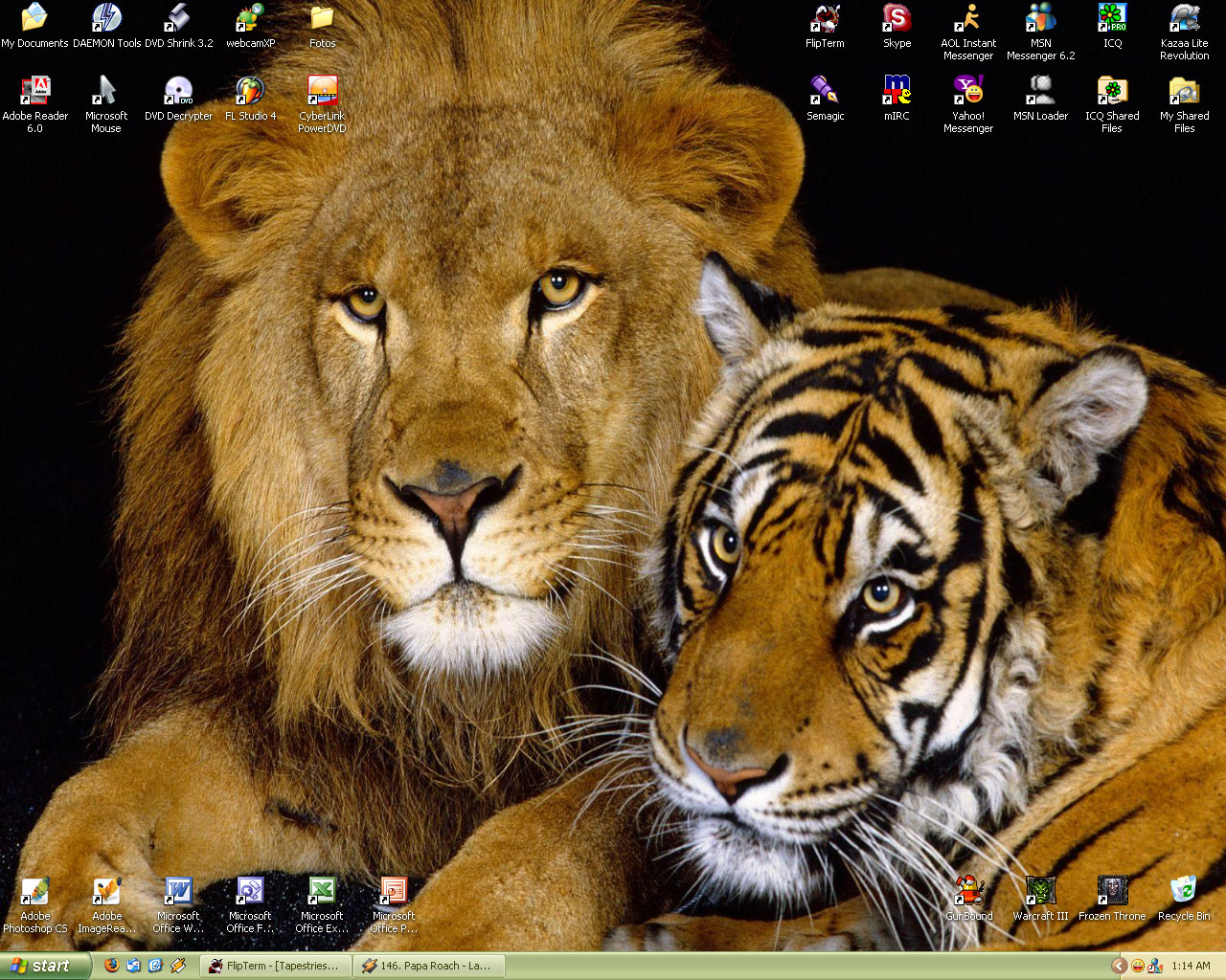 My Desktop -New-