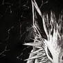 Illustrated Jolteon