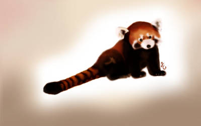 Pabu-redpanda