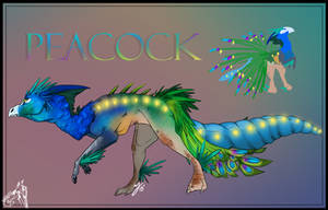 Peacock by SNAKE-F00D Peacock by SNAKE-F00D