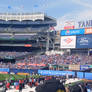 Inside of Yankee Stadium 2022