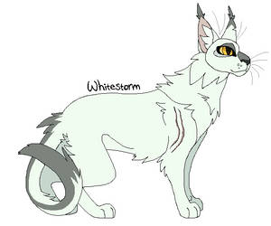 Whitestorm