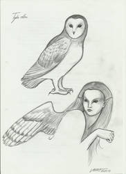 Sprite Sketch: Barn Owl