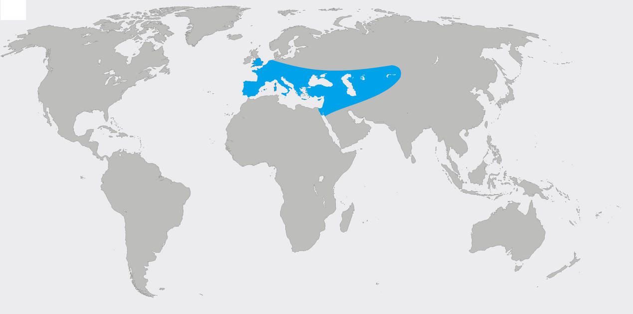 Neander Map Neanderthal map by Saint-Tepes on DeviantArt