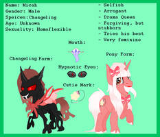 MLP Micah [REFERENCE SHEET/BASE EDIT]