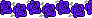 Free To Use Purple Rose Divider v3