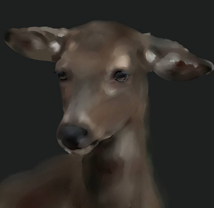 wip_com__by_mwarewolf_dmb5m0k-pre.jpg?to