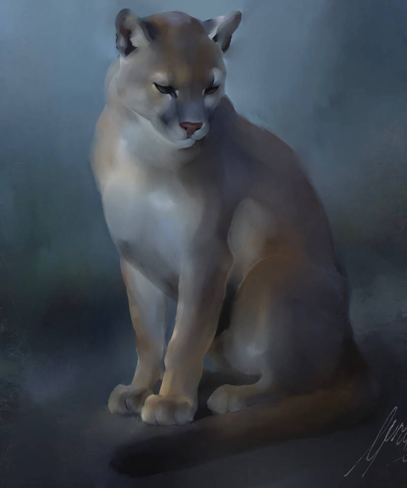 commission__by_mwarewolf_dmb5m44-414w-2x