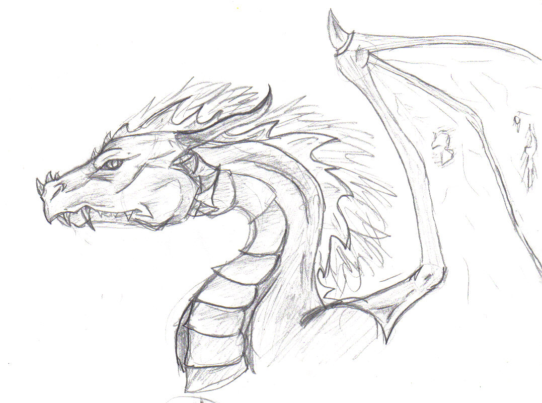 how to draw a dragon head step by step for beginners