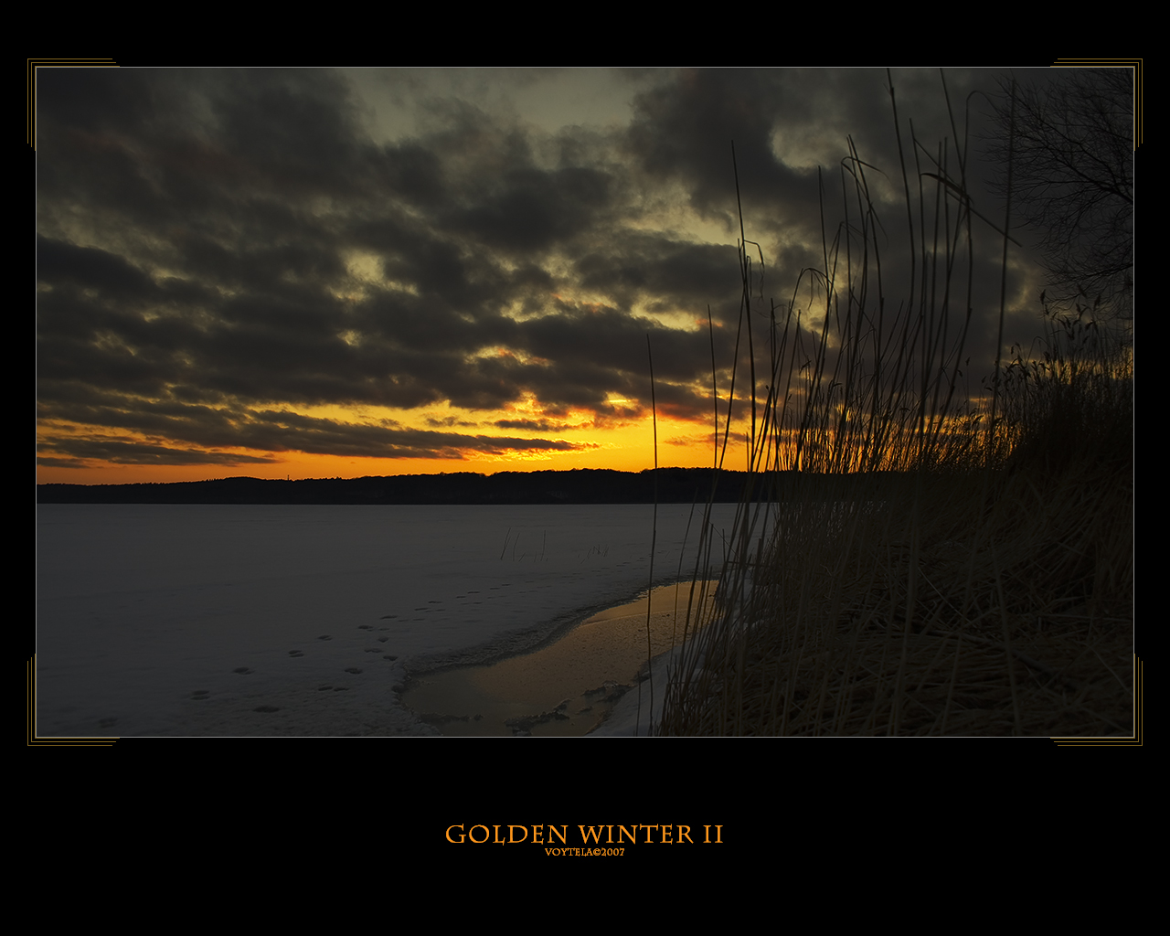 GOLDEN WINTER II