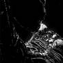 The Space Jockey